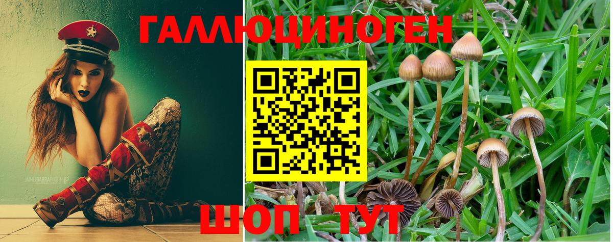 Галлюциногенные грибы Cubensis  Вход с VPN  Елизово 