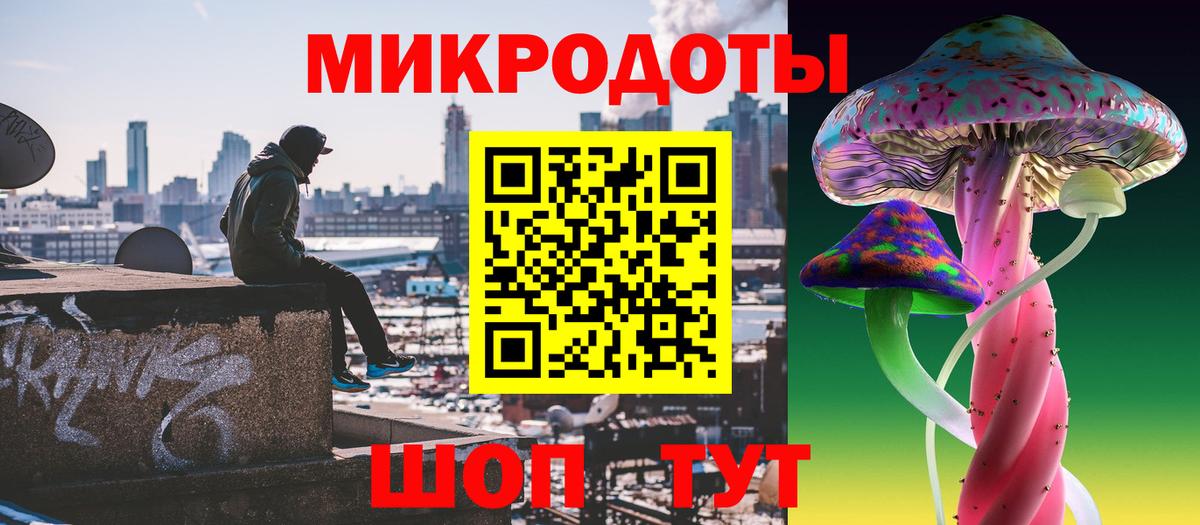 Псилоцибиновые грибы Psilocybe Елизово